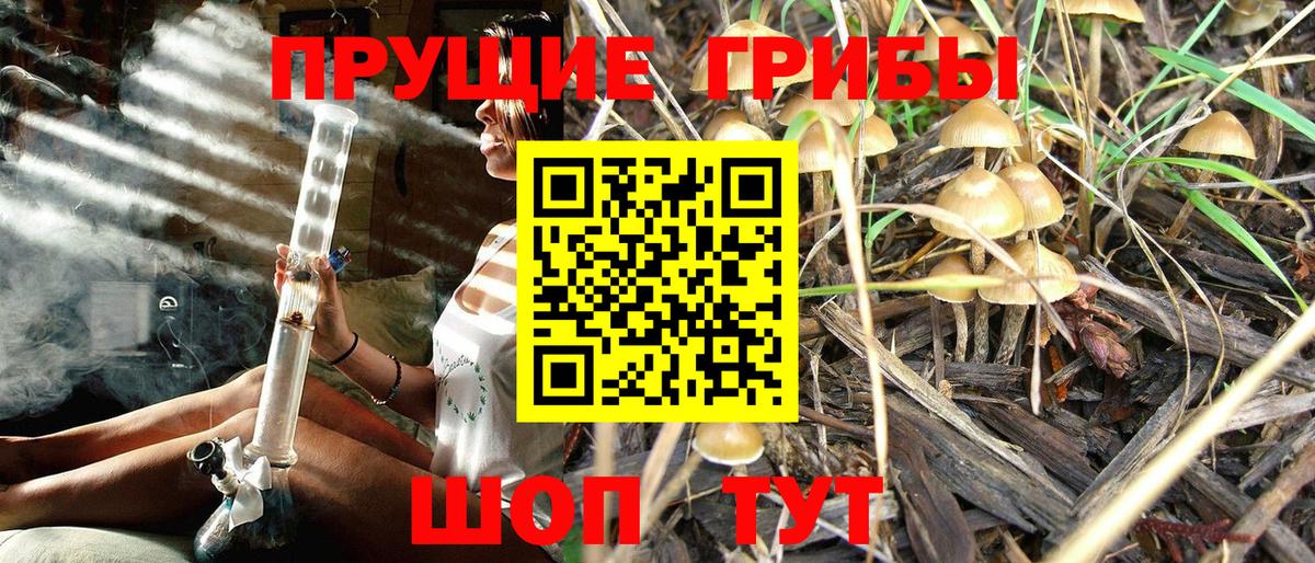Псилоцибиновые грибы Psilocybe  Псилоцибиновые грибы MAGIC MUSHROOMS  Вход с VPN  Елец 